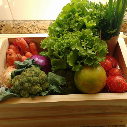Organic Box