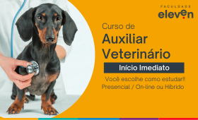 Curso de Auxiliar Veterinário
